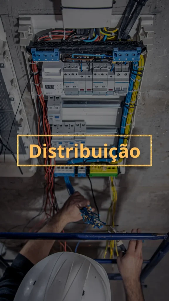 Distribuição
