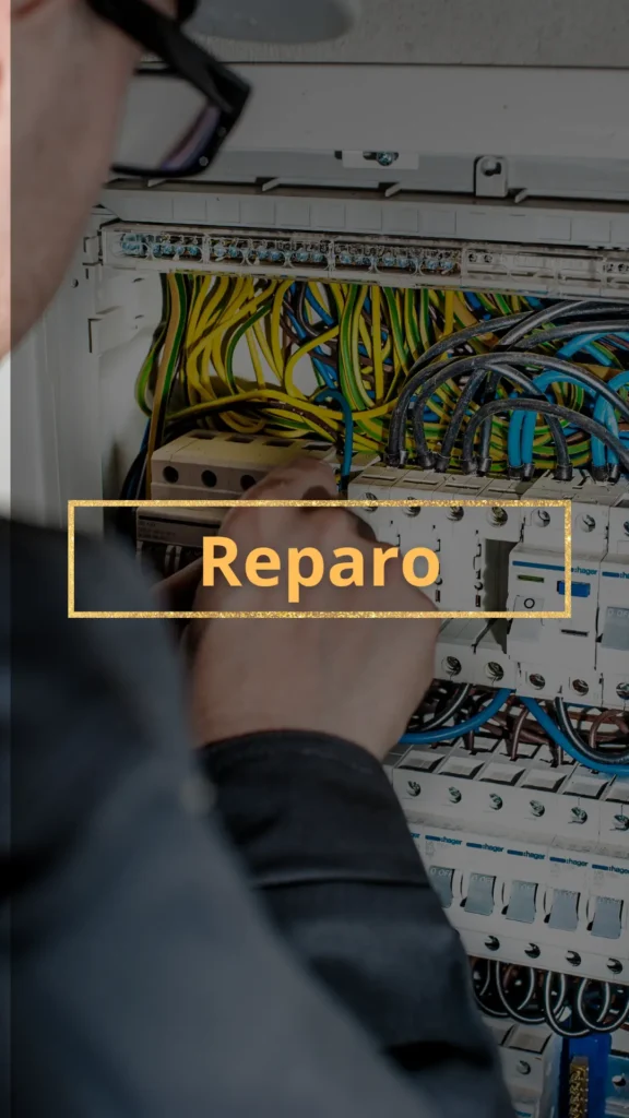 Reparo